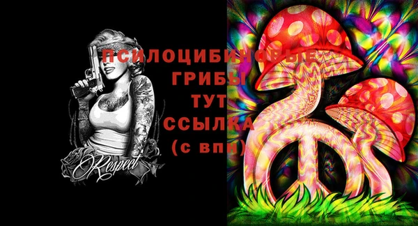 мяу мяу мука Арсеньев