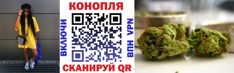 Конопля гибрид цены Салаир